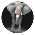 thumbnail image 1 of Sikiie Indian Elephant 30-48 inches {designName} Print Christmas Tree Skirt Snowman Xmas Tree Skirt with Edge Christmas Decorations for Holiday Party-48", 1 of 7