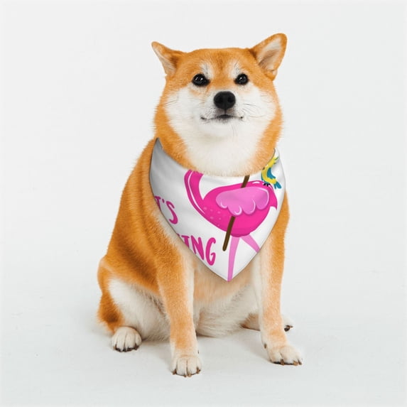 Sikiie It'S Flamazing To Be A Pirate Dog Bandanas-Dog Scarf Bib Kerchief Breed for Dogs and Small for Pets Gift-Medium