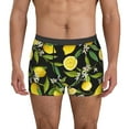 thumbnail image 1 of Sikiie Lemon Fruits Flowers Leaves Print Men's Boxer Briefs, Elastic Waistband Boxer Briefs Leggings-Small, 1 of 5