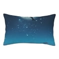 thumbnail image 1 of Sikiie Night Sky Moon Dolphin Print Plush Pillow Cover, Wrinkle-proof and Stain-resistant Pillow Protector without Pillow Core, Home Decoration-14"x20", 1 of 6