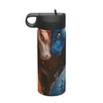 thumbnail image 1 of Sikiie Red And Blue Fire Dragon F Print 18OZ Insulated Straw Cup, Portable Leak-proof Sports Water Bottle, Stainless Steel Water Cup Suitable for Home and Outdoor, 1 of 8