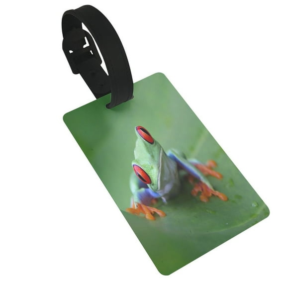 Sikiie Red-Eyed Tree Frog-1 Luggage Tags Privacy Cover ID Label Suitcase Tags Identifiers For School Bags,Suitcases