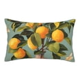 thumbnail image 1 of Sikiie Retro Warm Lemon Flower Print Plush Pillow Cover, Wrinkle-proof and Stain-resistant Pillow Protector without Pillow Core, Home Decoration-20"x30", 1 of 6