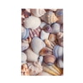 thumbnail image 1 of Sikiie Sea Shells Waffle Weave Kitchen Dish Cloth,Super Absorbent Kitchen Dish Towels 16*26 Inches for Dish Rags Washing Dishes, Drying Dishes, 1 of 7