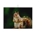 thumbnail image 1 of Sikiie Squirrels Eating Peanuts On The Tree Dish Drying Mat, Kitchen Counter Mat, Self Drying Mat for Kitchen Counter Dish Drying Pad ,for Dishes, Utensils, Pots and Pans(24" x 18"), 1 of 7