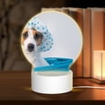 thumbnail image 1 of Sikiie Terrier Takes A Bath With Shower Cap Acrylic Night Light Gift Custom Acrylic Night Light LED Lights for Bedroom Home Office, 1 of 9