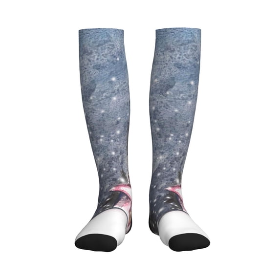 Sikiie Watercolor Winter Landscape For Christmas 1 Pairs Compression Socks for Men and Women 15-20 mmHg Running Support Socks