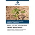 thumbnail image 1 of Silage aus dem oberirdischen Teil der Maniokpflanze, (Paperback), 1 of 1