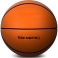 Silent Basketball 29.5