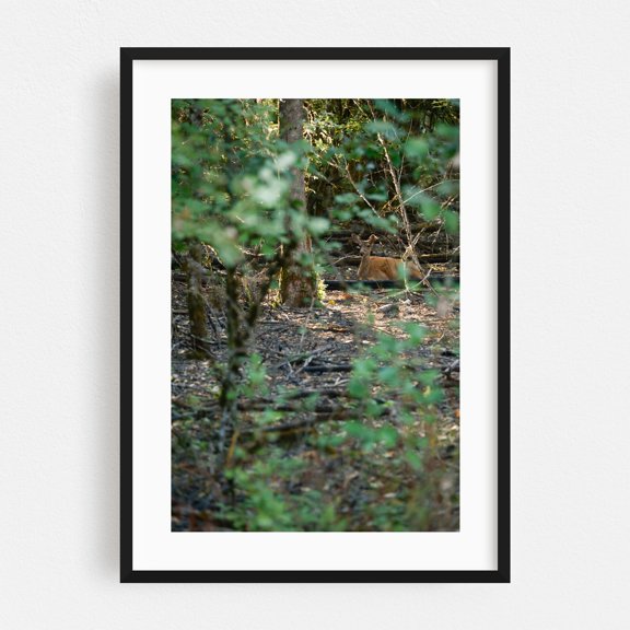 Silent Doe Among Portland Oaks’ Gentle Brush - Portland Oregon Photography Deer Wildlife Forest Nature Woodland Wilderness Autumn Black Framed Wall Art Print 5 x 7 inches