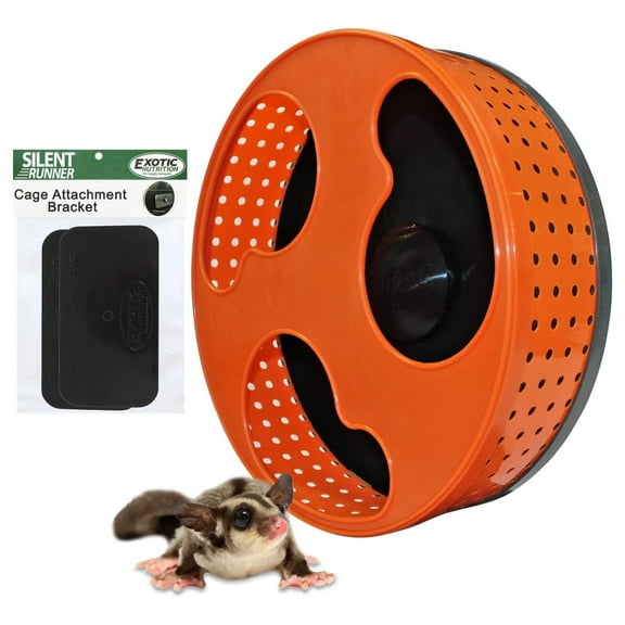 Silent Runner 12" with Autoclean | Sugar Glider Wheel Black, Orange