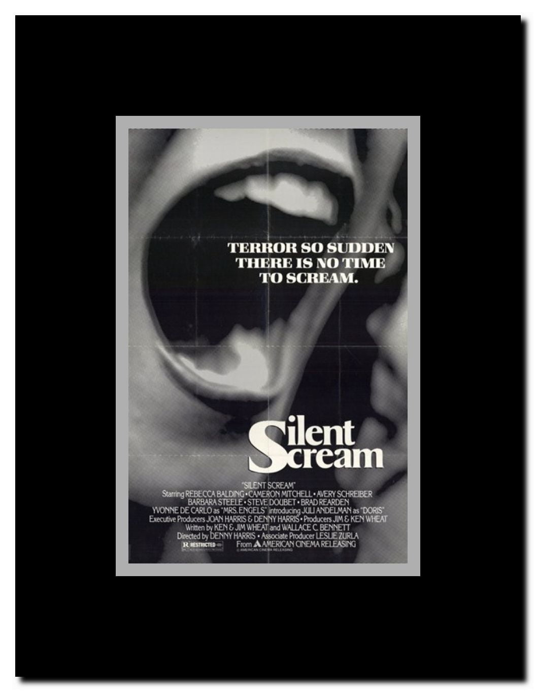 Silent Scream Framed Movie Poster