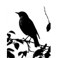 thumbnail image 1 of Silhouette Bird on Branch Canvas Wall Art for Living Room Bedroom Office Hallway Cafe Nursery Decor, 1 of 8