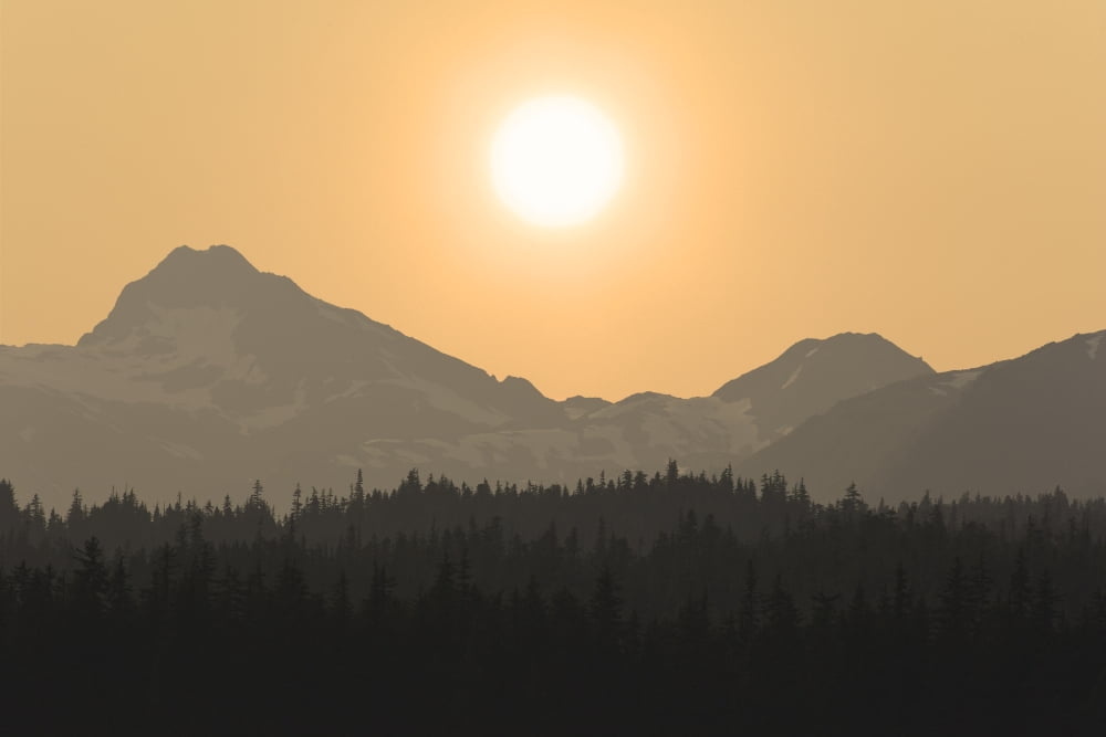 Silhouette Of A Floatplane In Flight Over The Chilkat Mountains At Sunset Tongass National Forest Alaska Canvas Art - John Hyde Design Pics (34 x 22)