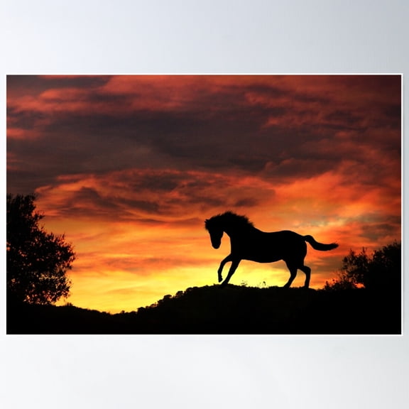 Silhouette Horse With Firey Sunset, Southwestern Colors Poster Wall Art, Modern Wall Decor For Living Room Bedroom, 12x18 UNFRAMED