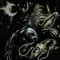 thumbnail image 1 of Silhouette In Splinters, 1 of 1