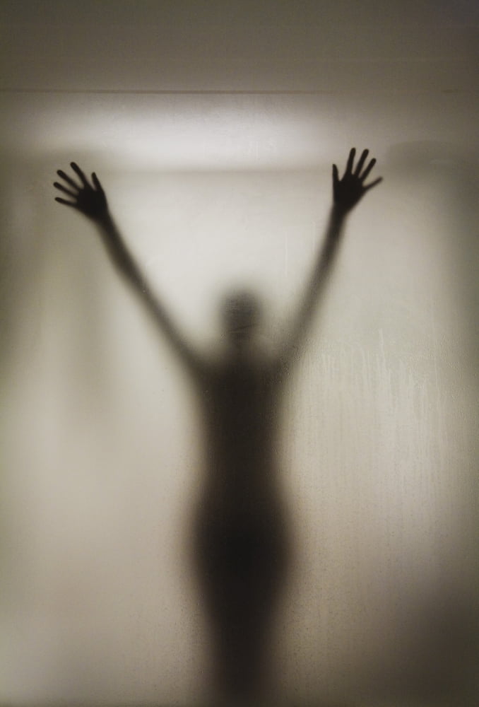 Silhouette Of A Nude Woman Behind The Glass Door Of A Shower Stall Canvas Art - Perry Mastrovito Design Pics (12 x 18)