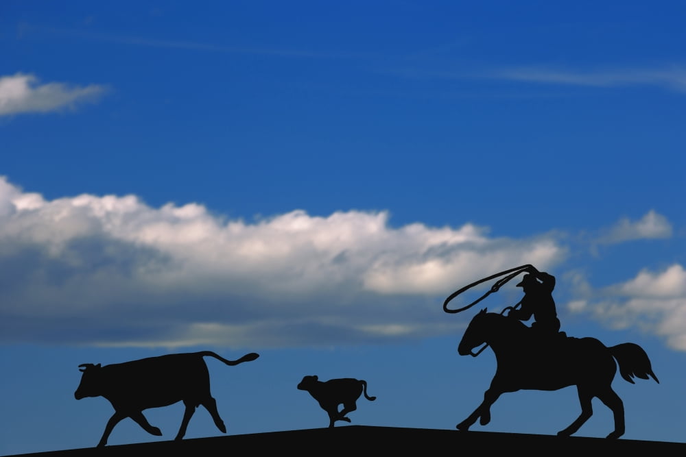 Silhouette Of A Rancher Roping Cattle Canvas Art - Carson Ganci Design Pics (17 x 11)