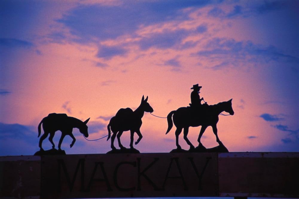 Silhouette Of Donkey Train Statue Against Sunset Canvas Art - Corey Hochachka Design Pics (17 x 11)
