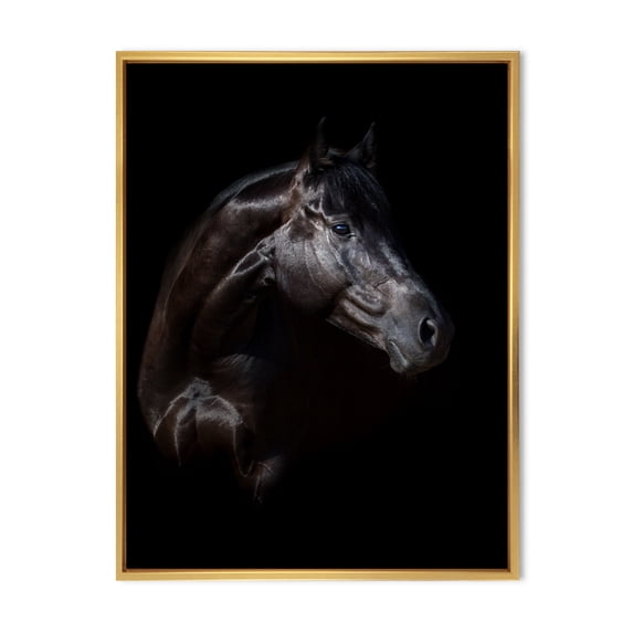 Silhouette Of Horse and Woman 30 in x 40 in Framed Photography Canvas Art Print, by Designart