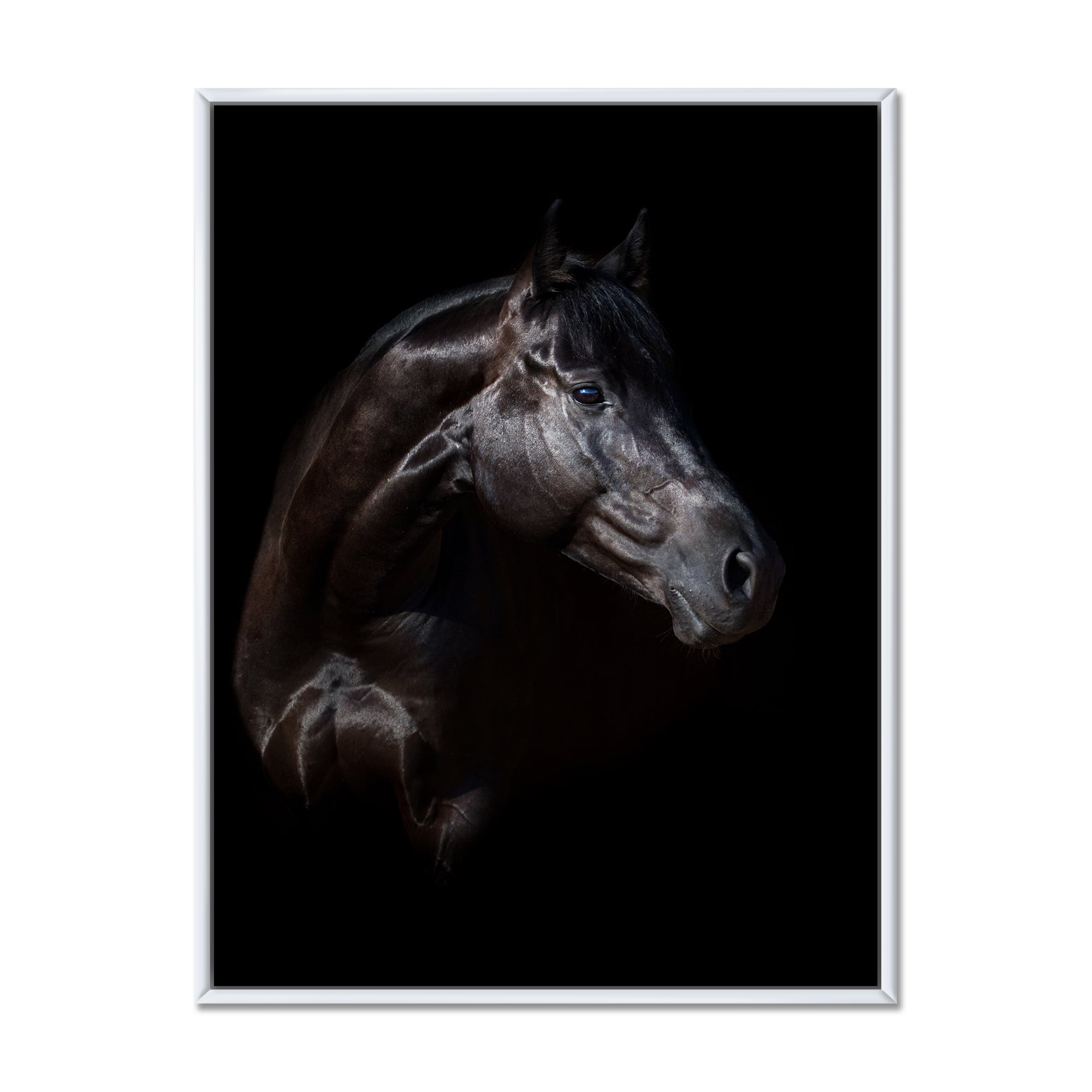 Silhouette Of Horse and Woman 30" x 40" Framed Photography Canvas Art Print, by Designart