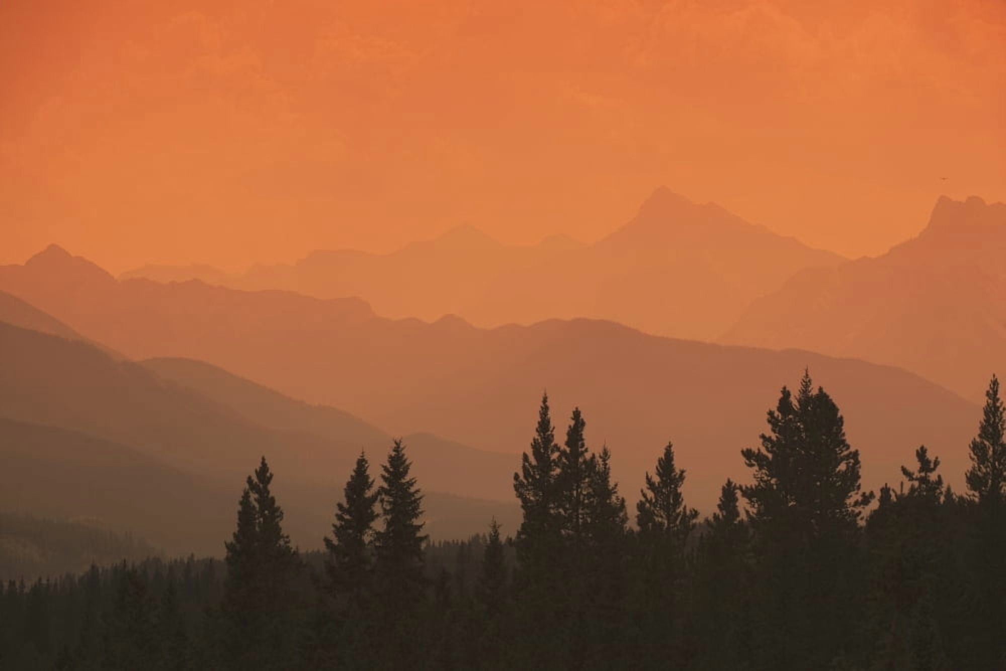 Silhouette Of Mountain Ranges And Orange Sky Canvas Art - Michael Interisano Design Pics (38 x 24)