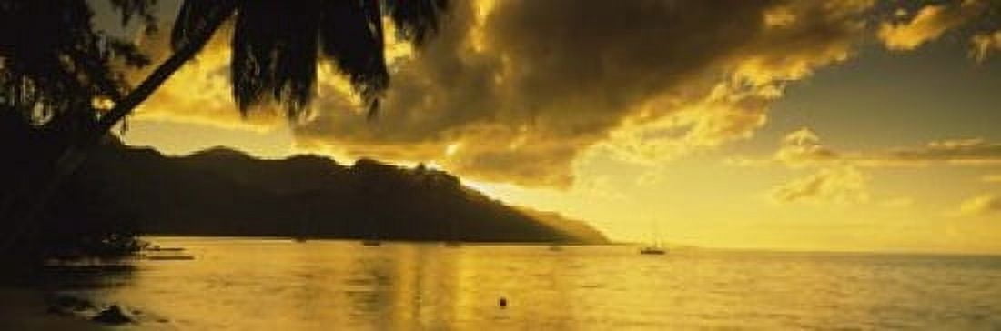 Silhouette Of Palm Trees At Dusk Cooks Bay Moorea French Polynesia Canvas Art - Panoramic Images (18 x 6)