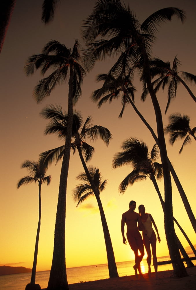 Silhouette Of Romantic Couple In Park At Sunset Palm Trees Ocean In Background Canvas Art - Dana Edmunds Design Pics (11 x 17)