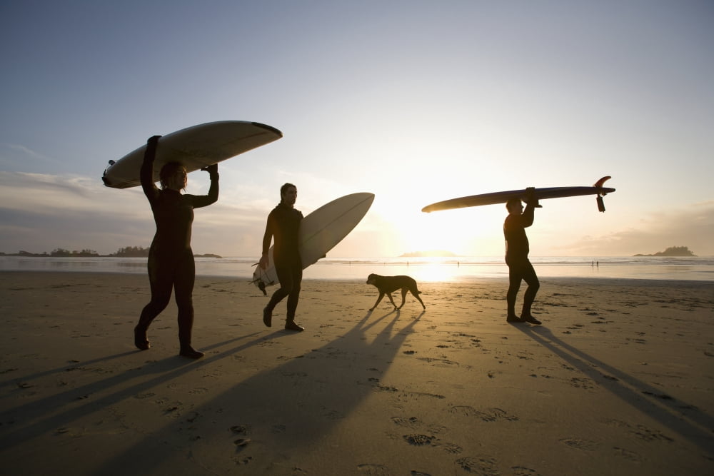 Silhouette Of Three Surfers And A Dog Chesterman Beach Tofino Vancouver Island British Columbia Canada Canvas Art - Deddeda Design Pics (38 x 24)