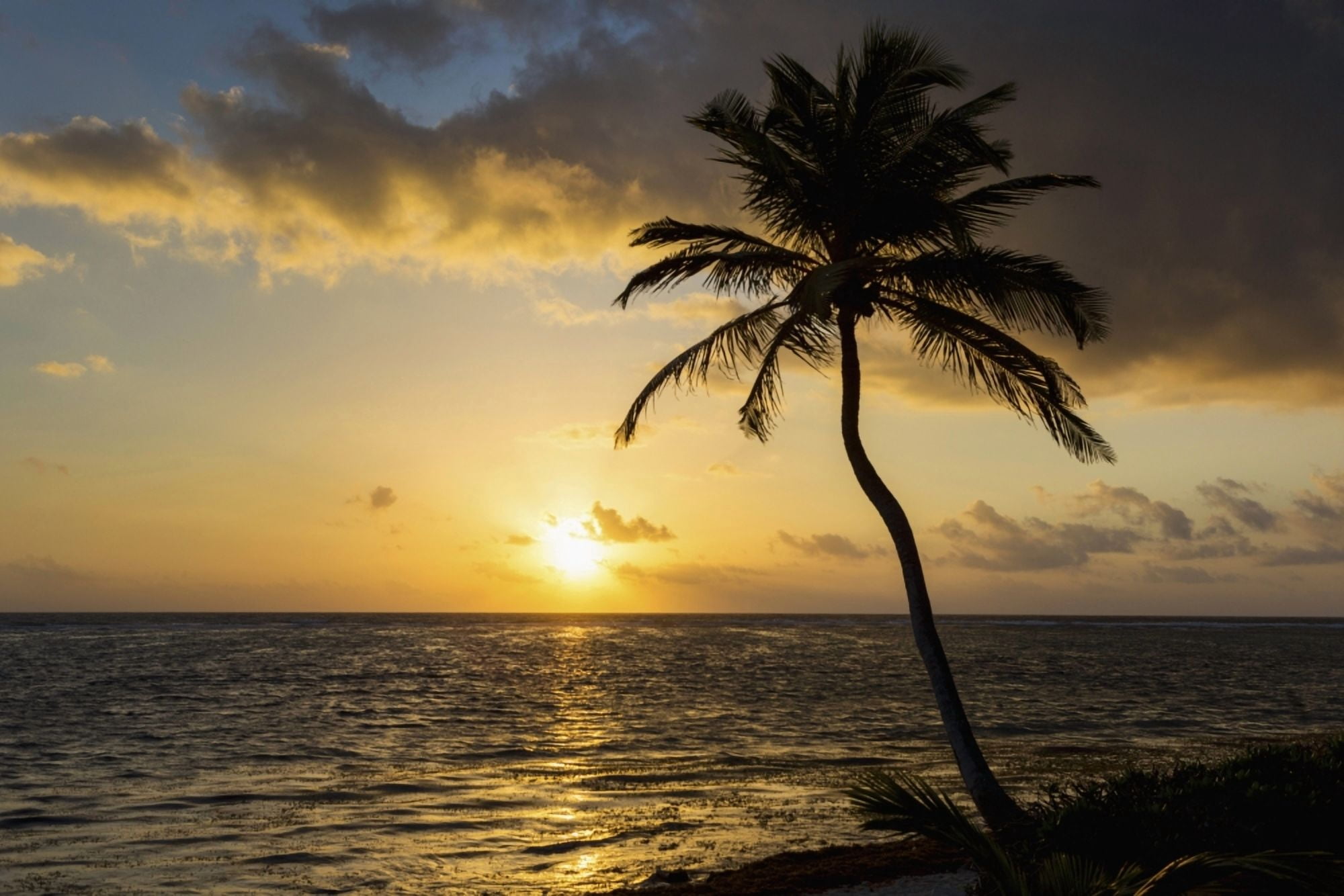 Silhouette of a coconut tree along the shoreline with an orange glowing sun and clouds at sunrise Akumal Quintana Roo Mexico Canvas Art - Michael Interisano Design Pics (19 x 12)
