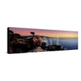 thumbnail image 1 of Silhouette of Lone Cypress Tree at a Coast, 17Mile Drive, Carmel, Monterey County, California, USA, Stretched Canvas Wall Art Sold by Art.Com, 1 of 5