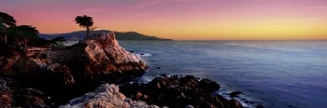 Silhouette of Lone Cypress Tree at a coast 17-Mile Drive Carmel Monterey County California USA Canvas Art - Panoramic Images (18 x 6)
