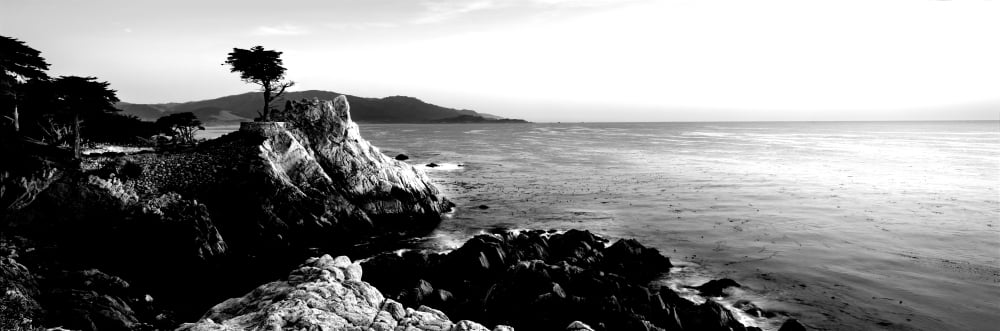 Silhouette of Lone Cypress Tree at a coast 17-Mile Drive Carmel Monterey County California USA Canvas Art - Panoramic Images (6 x 18)