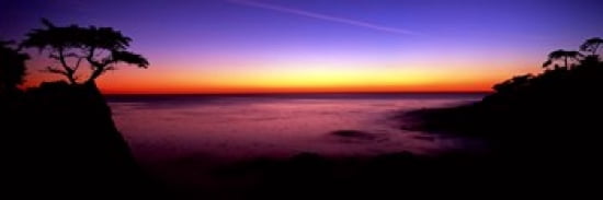 Silhouette of Lone Cypress Tree on a cliff 17-Mile Drive Pebble Beach Carmel Monterey County California USA Canvas Art - Panoramic Images (36 x 12)