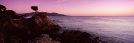 Silhouette of a cypress tree at coast The Lone Cypress 17 mile Drive Carmel California USA Canvas Art - Panoramic Images (36 x 12)