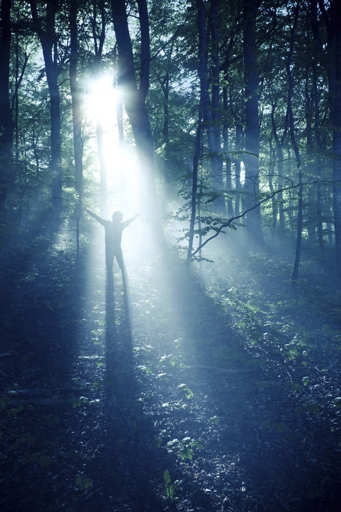 Silhouette of a man standing in the misty rays of a dark forest Denmark Canvas Art - Evgeny KuklevStocktrek Images (23 x 35)