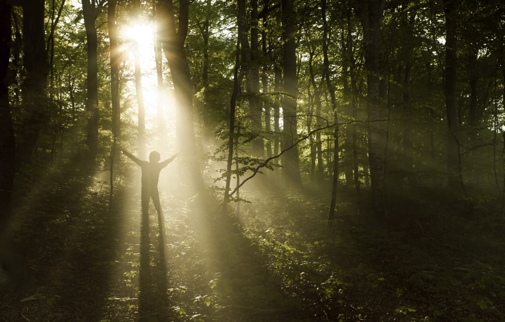 Silhouette of a man standing in the sunrays of a dark misty forest Denmark Canvas Art - Evgeny KuklevStocktrek Images (36 x 23)