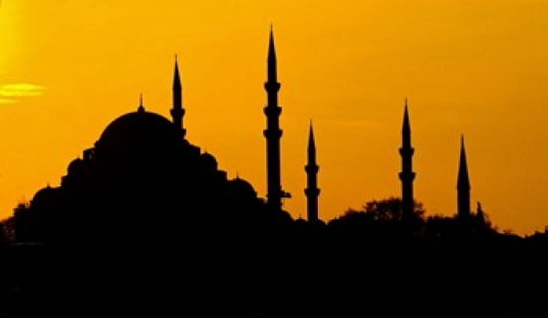 Silhouette of a mosque Blue Mosque Istanbul Turkey Canvas Art - Panoramic Images (16 x 10)