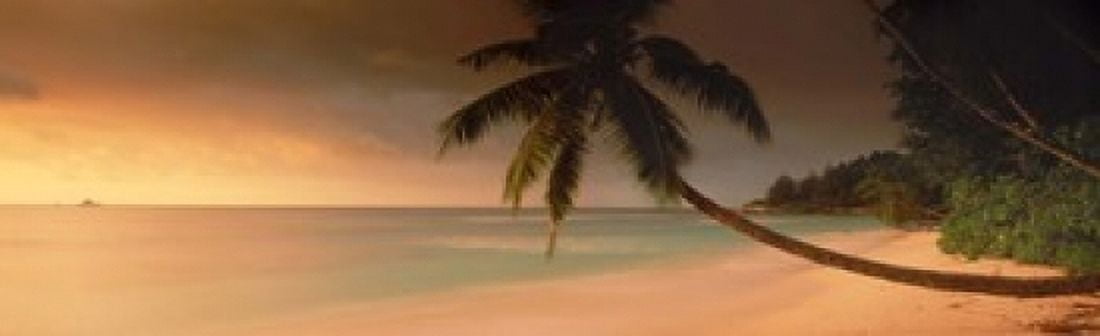 Silhouette of a palm tree on the beach at sunset Anse Severe La Digue Island Seychelles Canvas Art - Panoramic Images (15 x 5)
