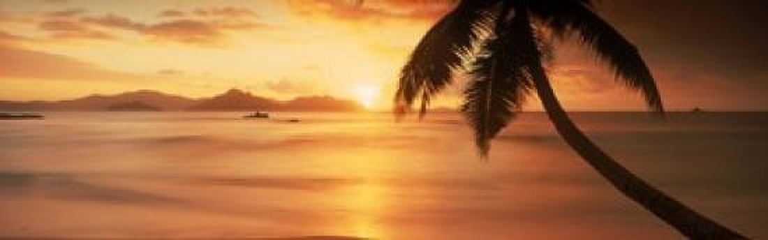 Silhouette of a palm tree on the beach at sunset Anse Severe La Digue Island Seychelles Canvas Art - Panoramic Images (18 x 6)