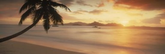Silhouette of a palm tree on the beach at sunset La Digue Island Praslin Island Seychelles Canvas Art - Panoramic Images (36 x 12)