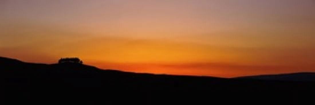 Silhouette of a tree at dusk Kirkcarrion Middleton-In-Teesdale County Durham England Canvas Art - Panoramic Images (18 x 6)