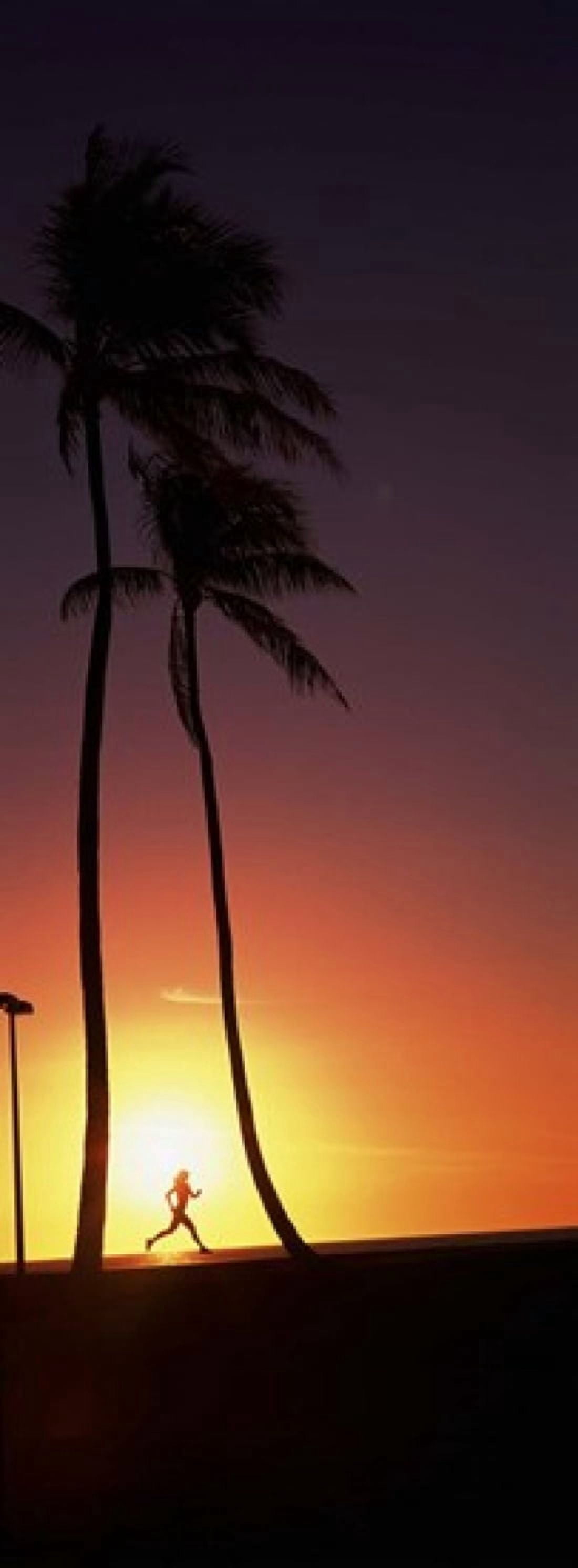 Silhouette of a woman running on the beach Magic Island Hawaii USA Canvas Art - Panoramic Images (18 x 7)