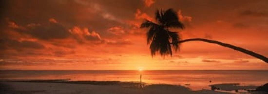 Silhouette of an old palm tree on the beach at sunset Aitutaki Cook Islands Canvas Art - Panoramic Images (18 x 7)
