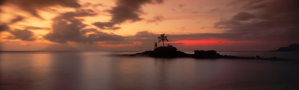 Silhouette of couple and palm tree on an island Mahe Seychelles Canvas Art - Panoramic Images (5 x 15)