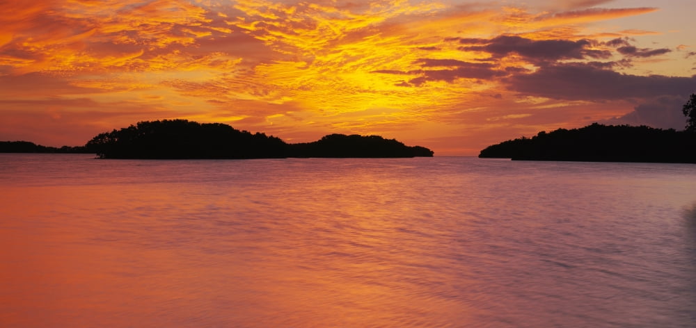 Silhouette of islands in the sea Everglades National Park Miami Florida USA Canvas Art - Panoramic Images (20 x 9)