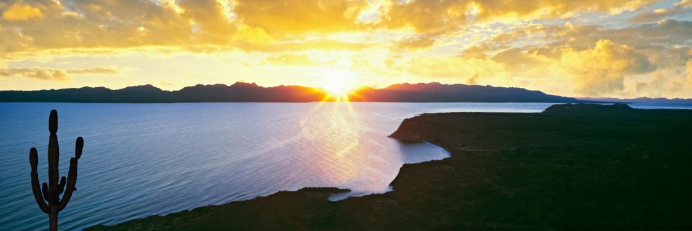 Silhouette of lone Cardon cactus plant Concepcion Bay Mulege Baja California Sur Mexico Canvas Art - Panoramic Images (27 x 9)
