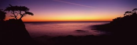 Silhouette of lone cypress tree on a cliff 17-Mile Drive Pebble Beach Carmel Monterey County California USA Canvas Art - Panoramic Images (36 x 12)