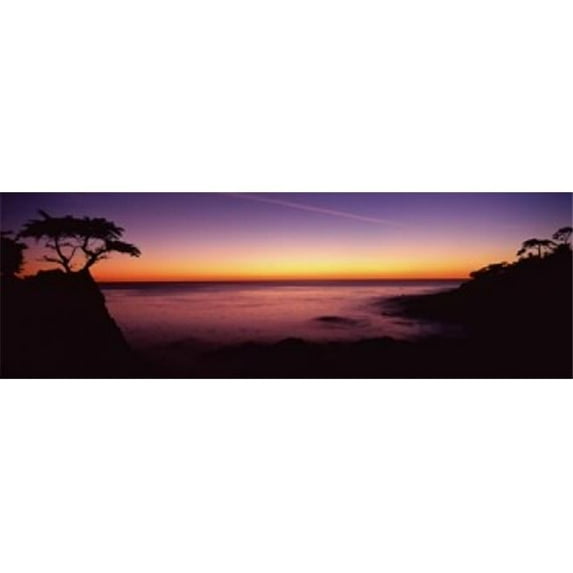 Silhouette of lone cypress tree on a cliff 17-Mile Drive Pebble Beach Carmel Monterey County California USA Poster Print by - 36 x 12