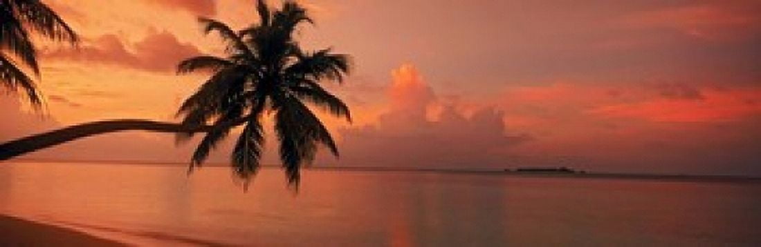 Silhouette of palm tree on the beach at sunrise Fihalhohi Island Maldives Canvas Art - Panoramic Images (18 x 6)